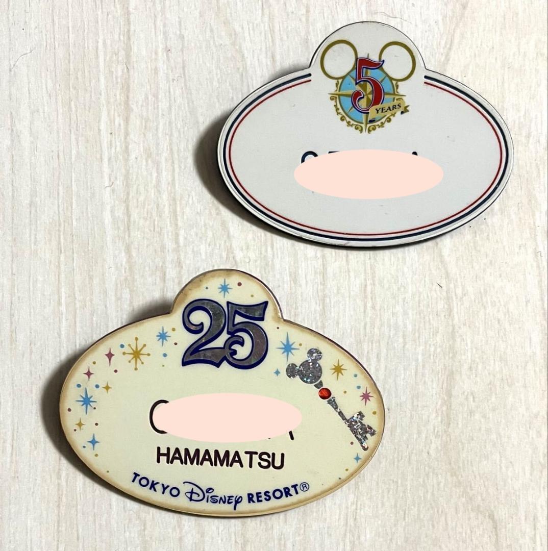 東京ディズニーリゾート☆昔のキャスト用ネームプレート バッジ 2種セット