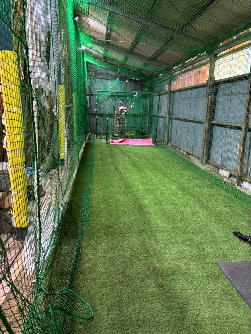 本格　とりかご　バッティングゲージ　硬式　練習　室内練習場　ネット　人工芝　打撃