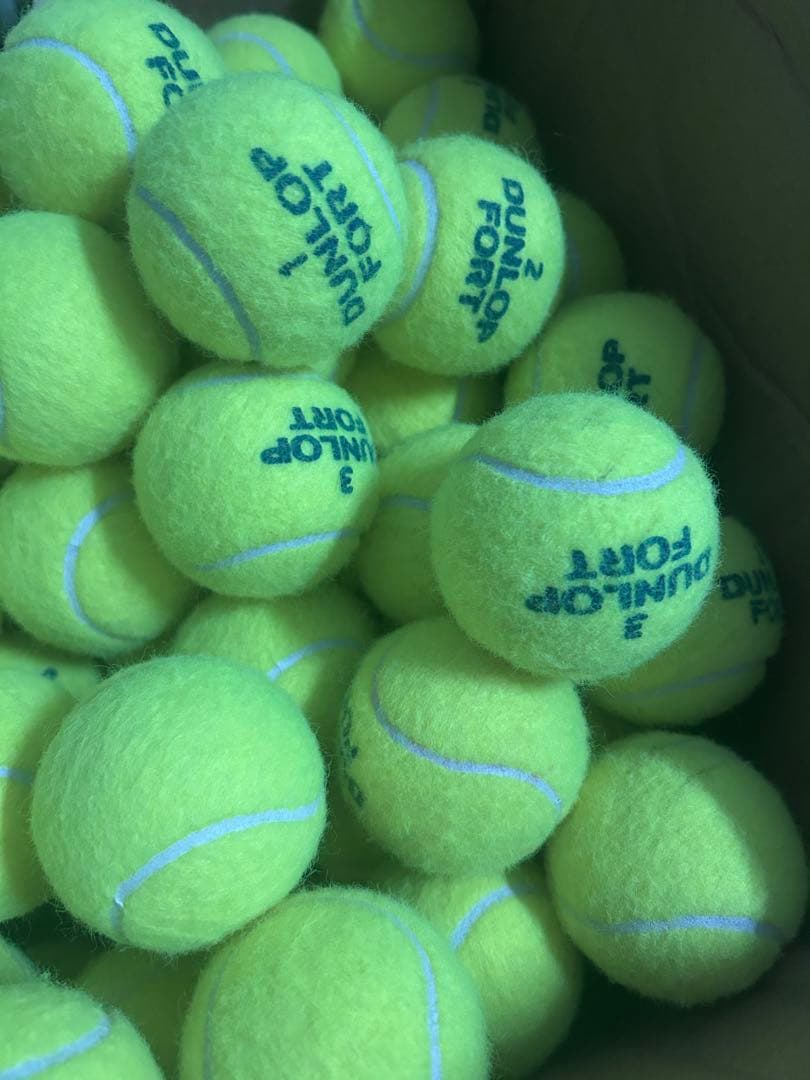 1試合だけ使用したダンロップフォートテニスボール150球セントジェームス50球