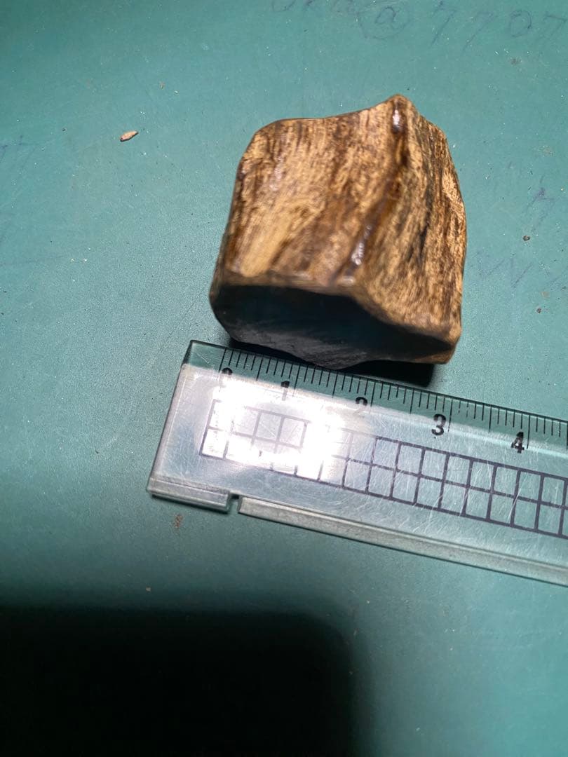 タニ沈水香木　黒油沈香12.39g 香道聞香用六国五味沈香伽羅