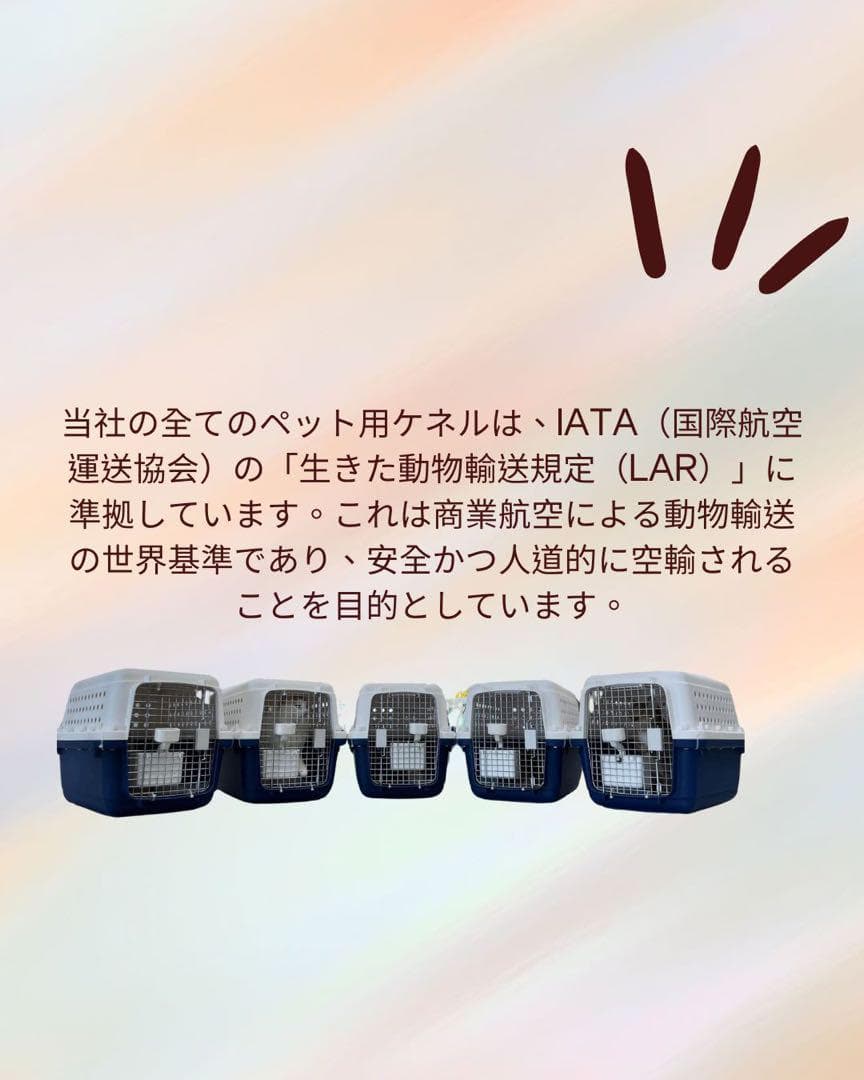 猫犬　ケージ クレート　ペットパレス BB60N 移住　お出かけ 輸送