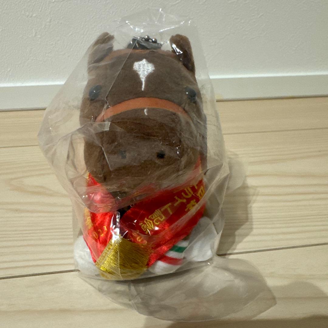 アイドルホース　レーベンスティール