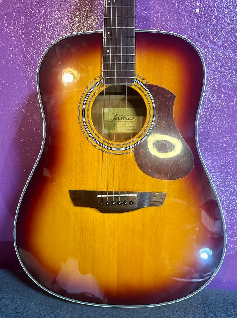James J-300 D アコースティックギター