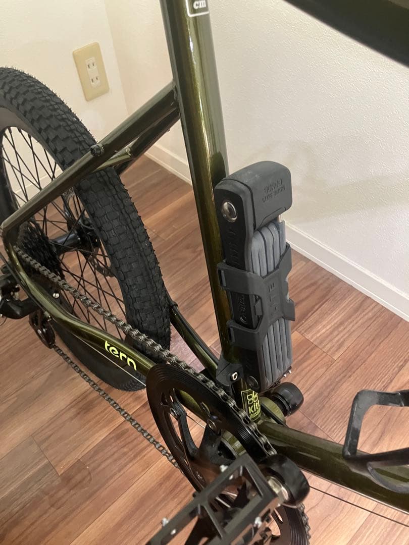 【引取限定】tern AMP F1 460 ビビッドモス　福岡県