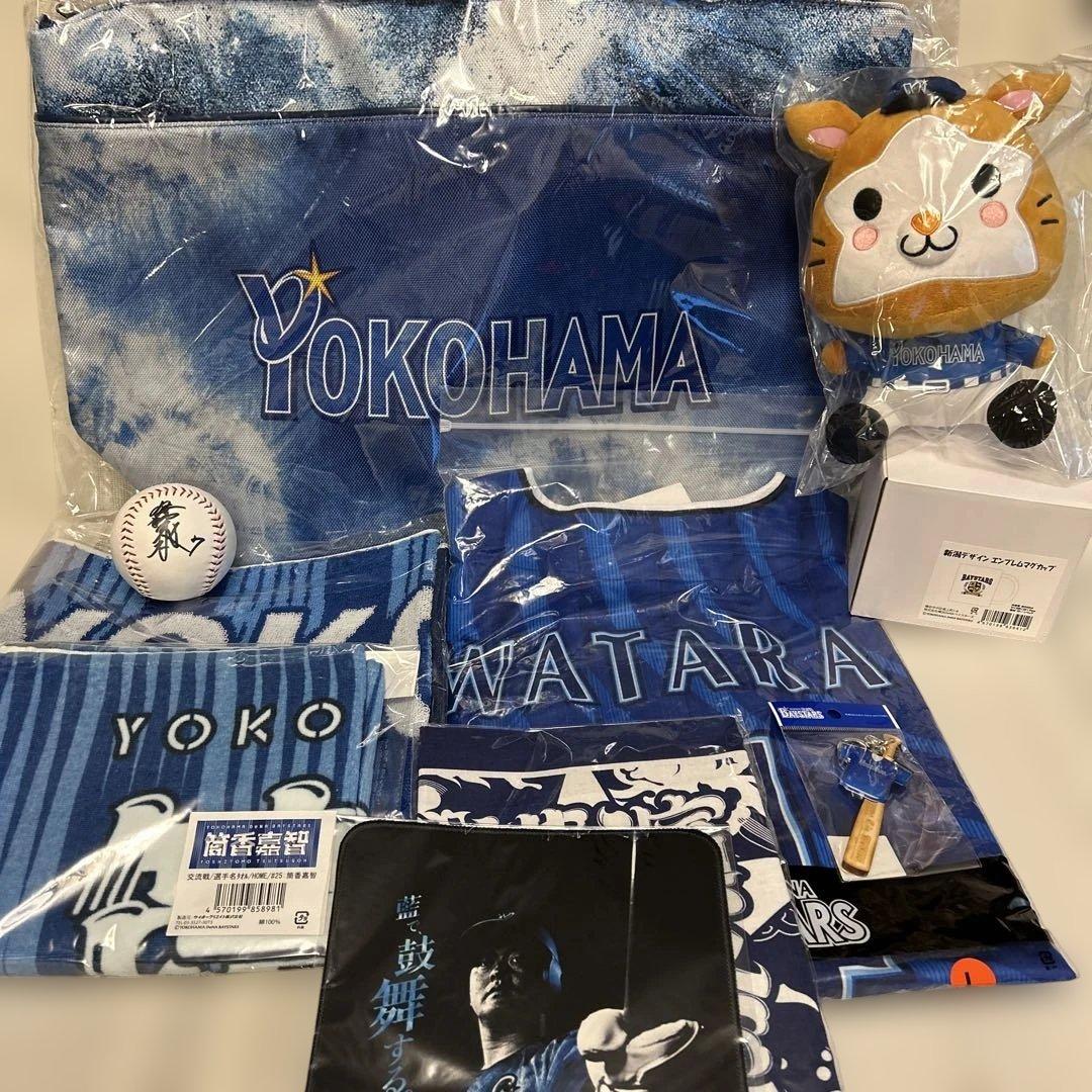 ☆*☆様 横浜ベイスターズ　ファンフェス　グッズ　応援グッズ
