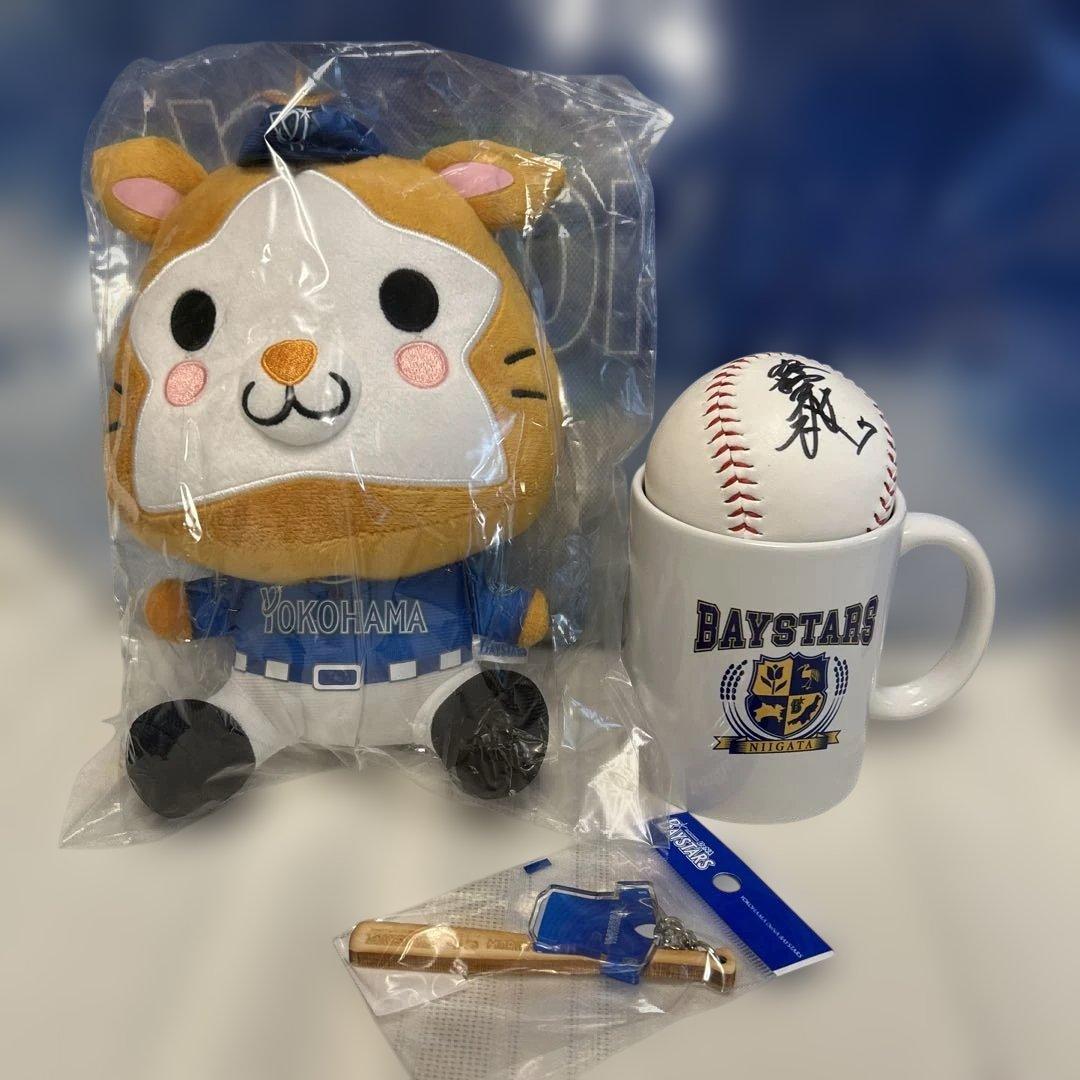 ☆*☆様 横浜ベイスターズ　ファンフェス　グッズ　応援グッズ