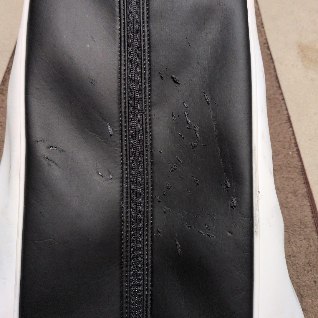 Titleist キャディバッグ ホワイト（9.5インチ）