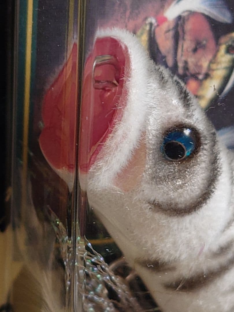 メガバス ito ポップX SP-C 干支 2010年 寅 白虎 新品未開封