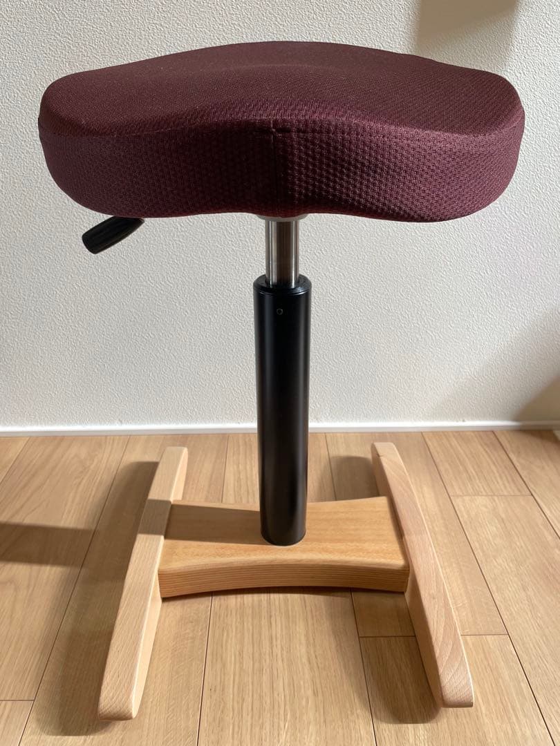 バランスシナジー（ラウンド型）（ボルドーの専用座面カバー付）