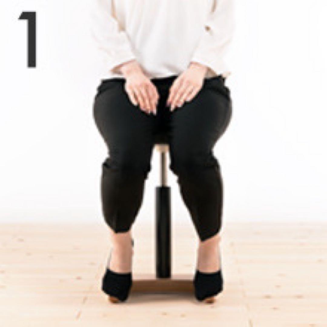 バランスシナジー（ラウンド型）（ボルドーの専用座面カバー付）