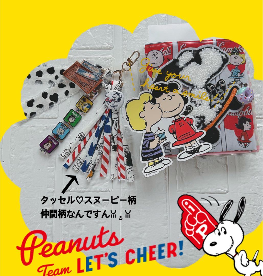 スヌーピーおすそ分けファイル♡アメキャラ＆スタバ限定1セット増量♡レア入り·͜·ᰔᩚ