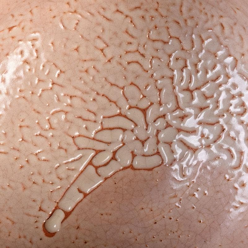 茶道具　萩焼　十一世　坂高麗左衛門作　筆洗切茶碗　共箱　M　R9037