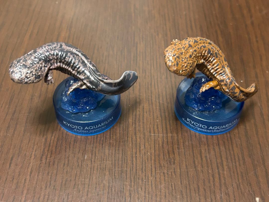 海洋堂 京都水族館 限定 オオサンショウウオ 在来種&交雑種 フィギュア