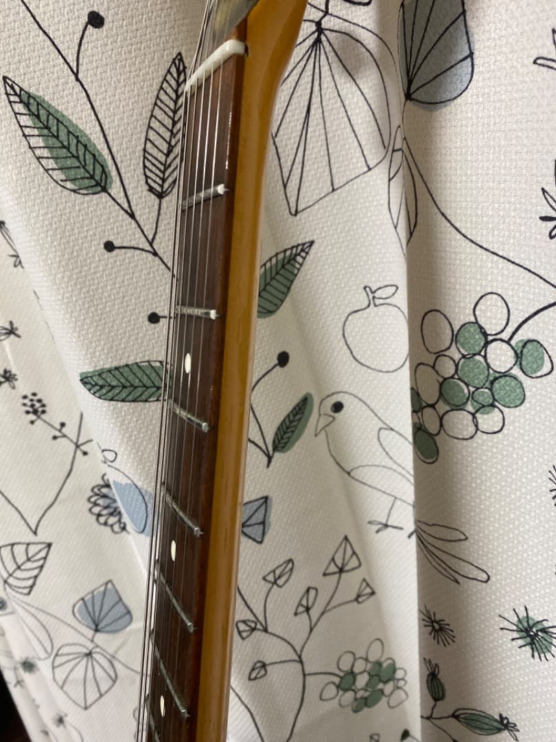 ビルローレンス　BCOR55G シャケモデル