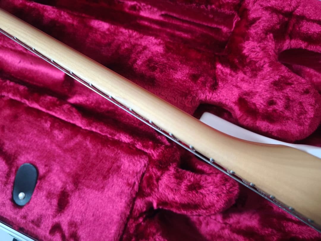 Fujigen Expert Elan ホワイト