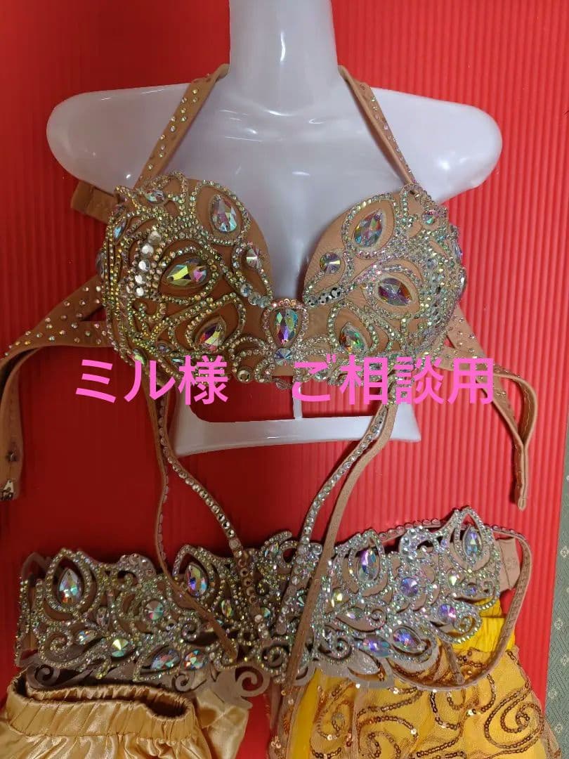 ミル様 ご相談用