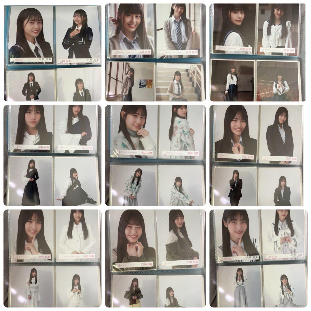 櫻坂46 向井純葉 生写真 コンプ まとめ売り