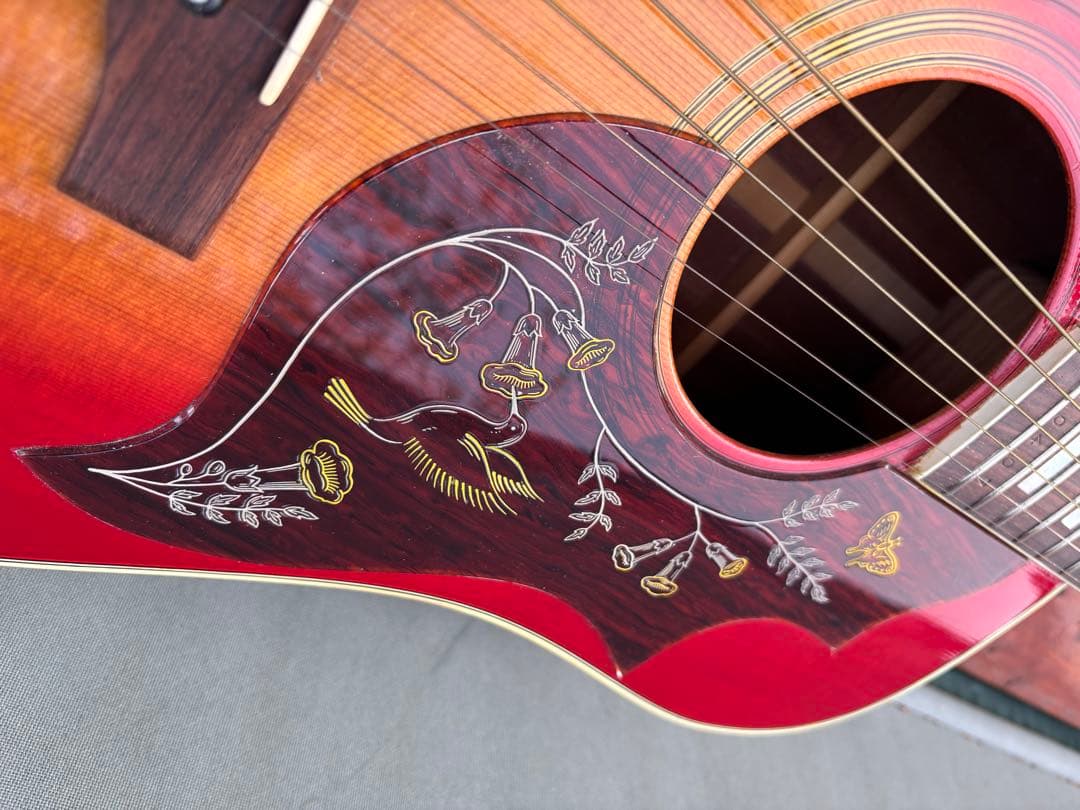 Jumbo Hummingbird 単板　ジャパンビンテージ '70s PG新品