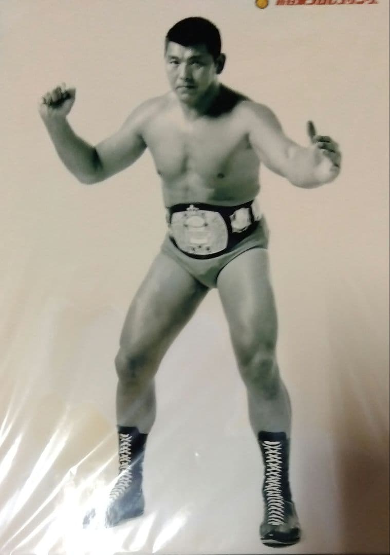 新日本プロレス　アントニオ猪木　坂口征二　天龍源一郎　蝶野正洋　ビジュアルボード