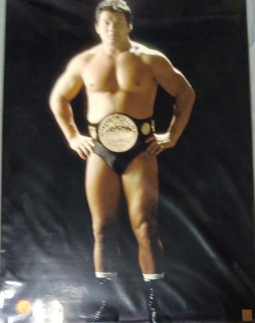 新日本プロレス　アントニオ猪木　坂口征二　天龍源一郎　蝶野正洋　ビジュアルボード