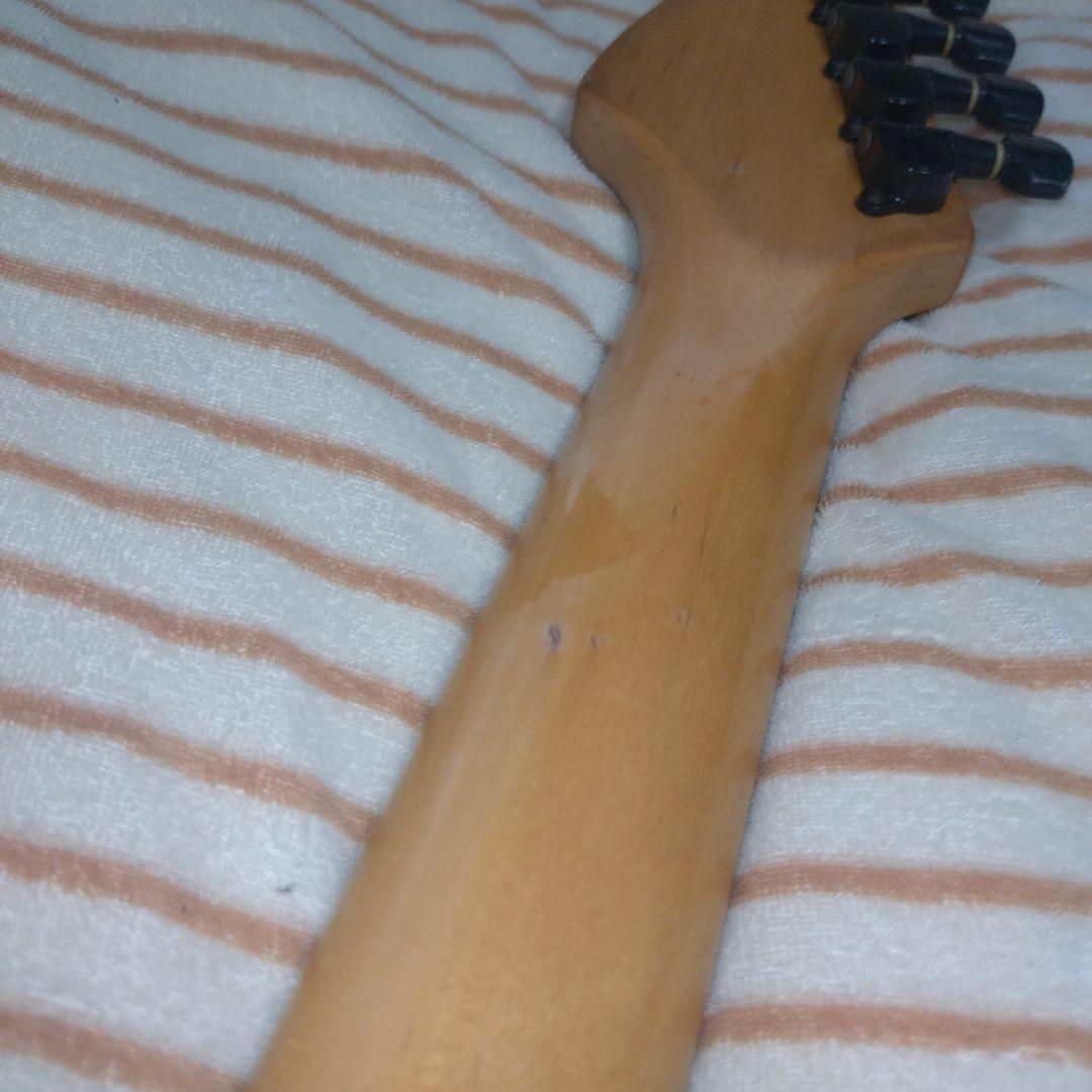 FERNANDES FR-55ソフトケース付