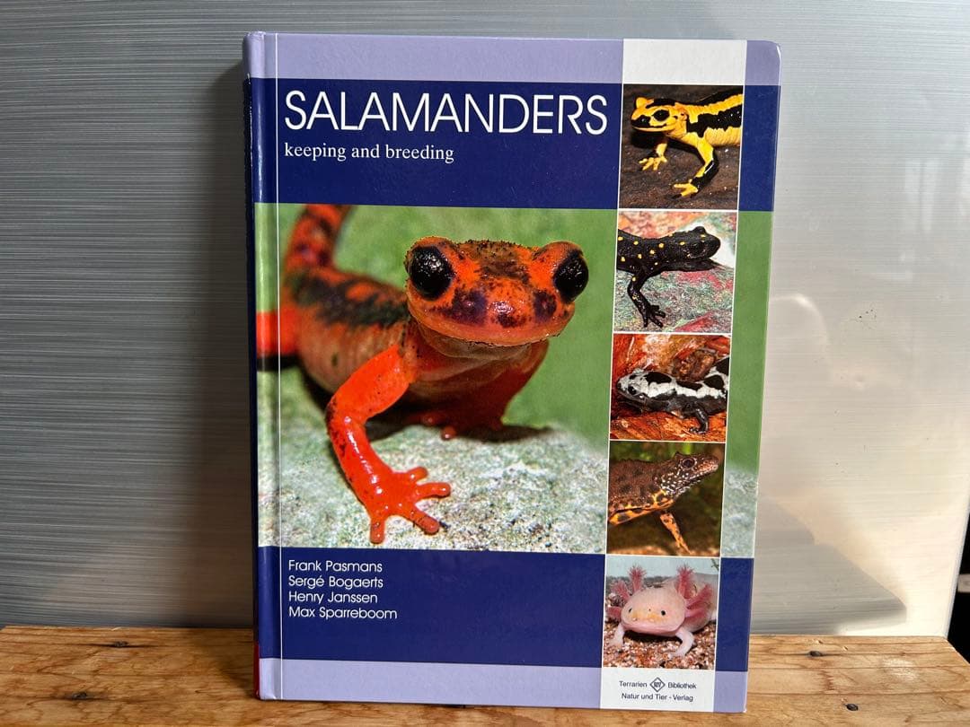 【送料無料】有尾類 イモリ サンショウウオ 爬虫類 両生類 洋書 図鑑 専門書