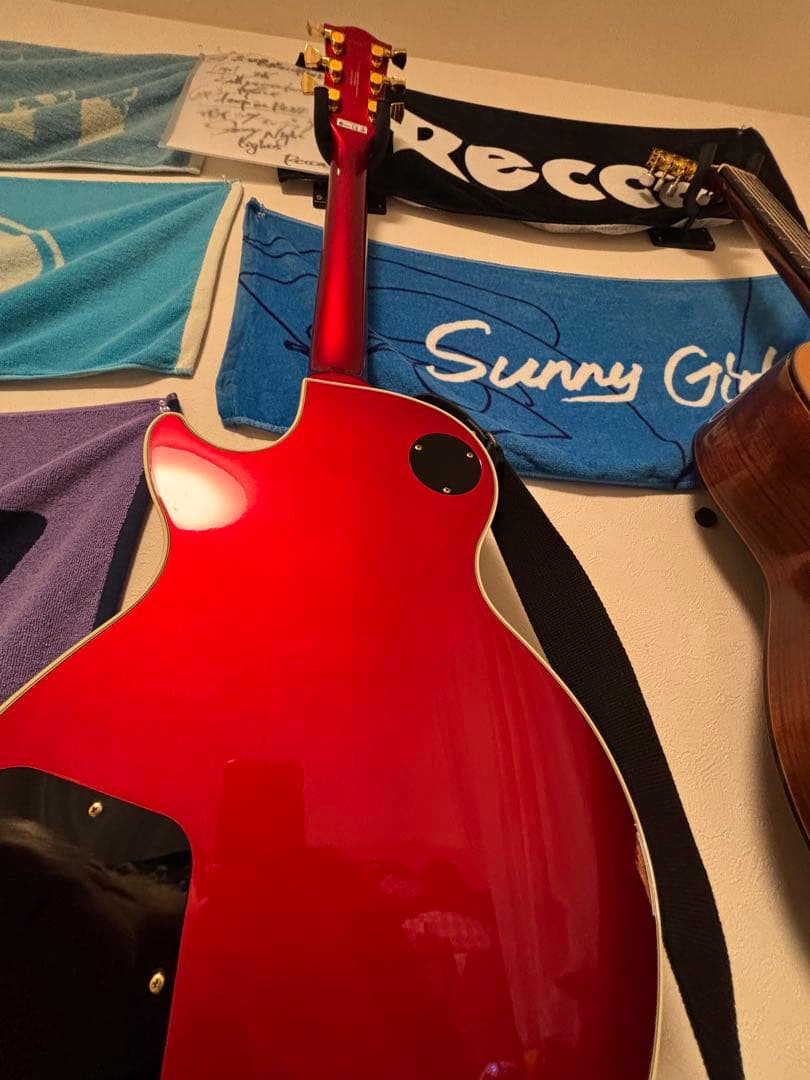 【限定モデル＆カラー】FUJIGEN フジゲン レスポール ギター