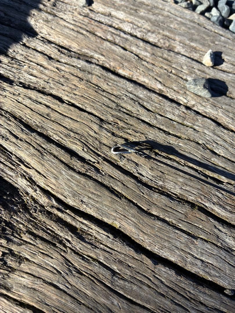 ダイワ　スティーズ　リアルコントロール　S61L-SV 美品