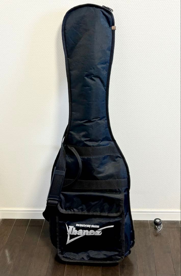 【美品】SELDER ST-16 初心者向けエレキギター/ソフトケース付