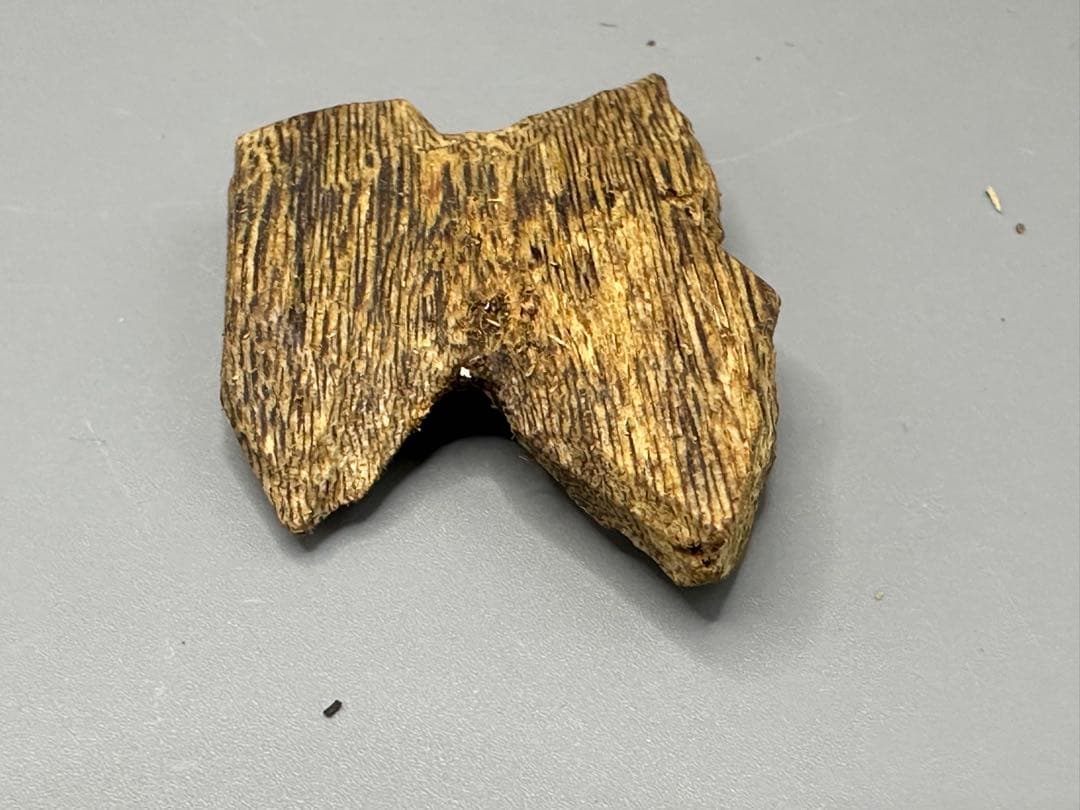 天然木製 香立て 5点