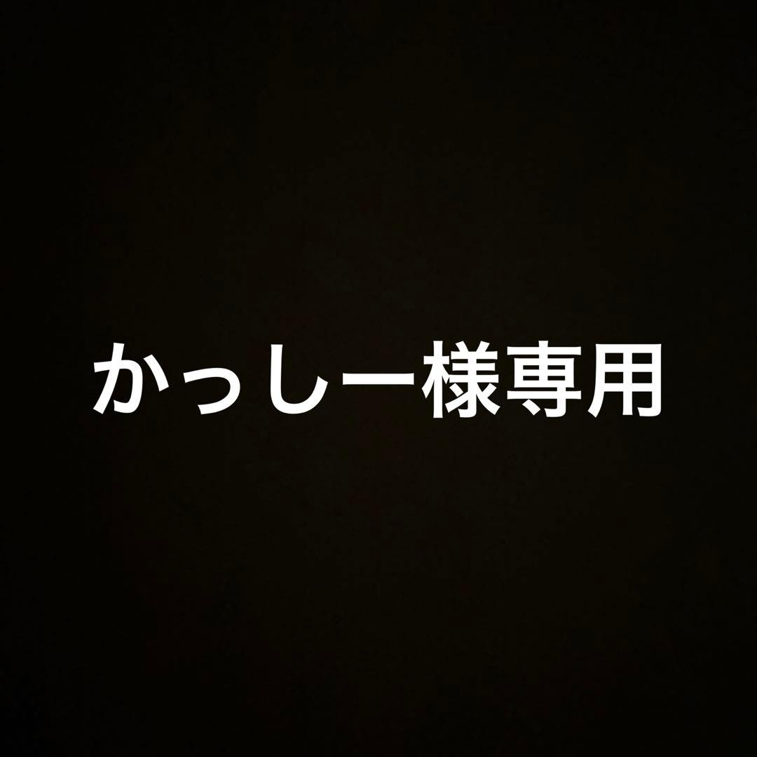 かっしー KATO島式ホーム1式セット