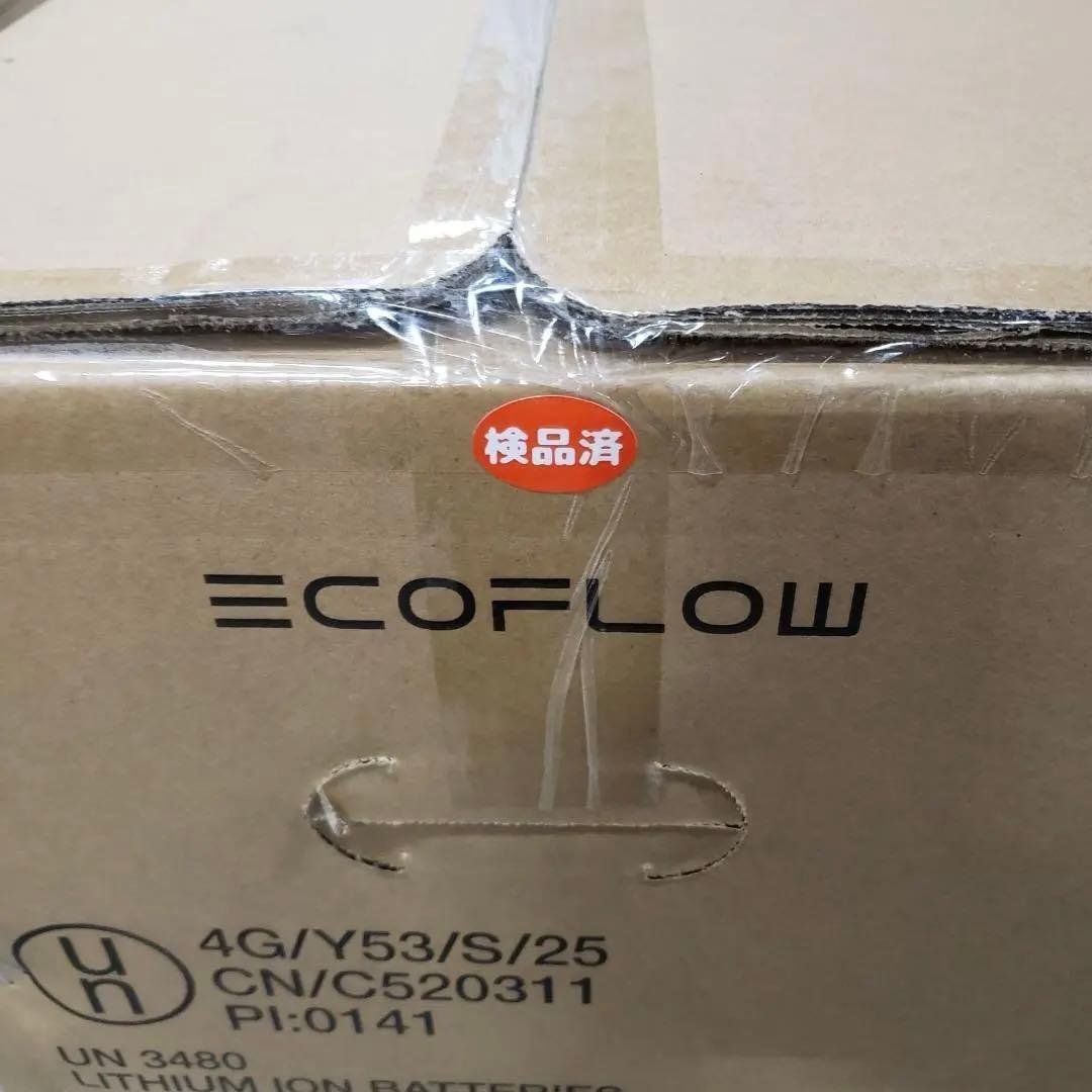 EcoFlow エコフロー DELTA Pro 専用エクストラバッテリー