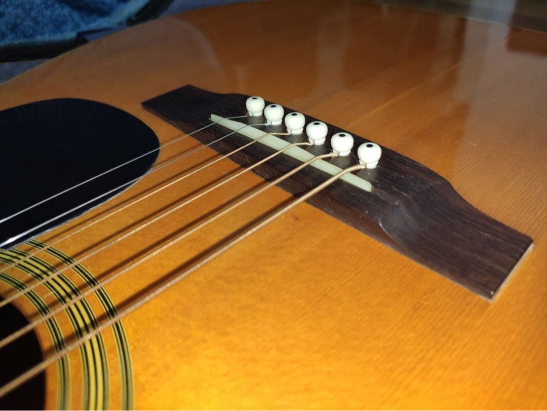 ギター Takamine Elite TW-40