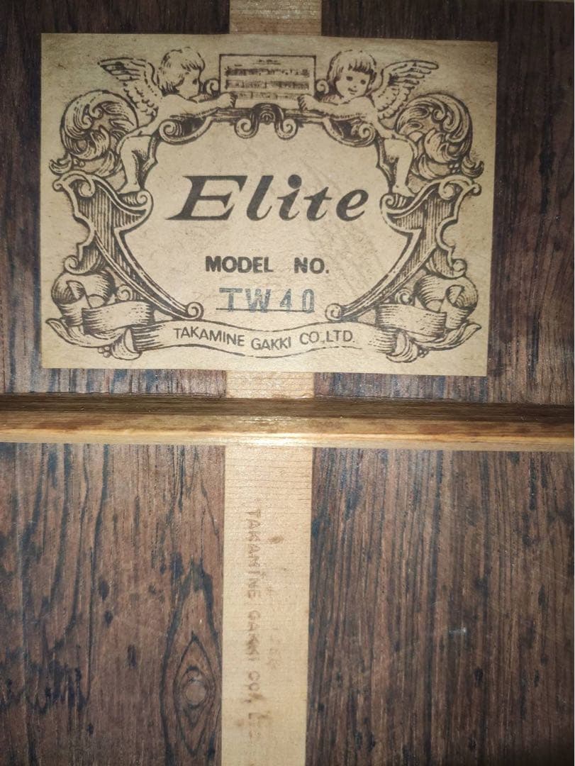 ギター Takamine Elite TW-40