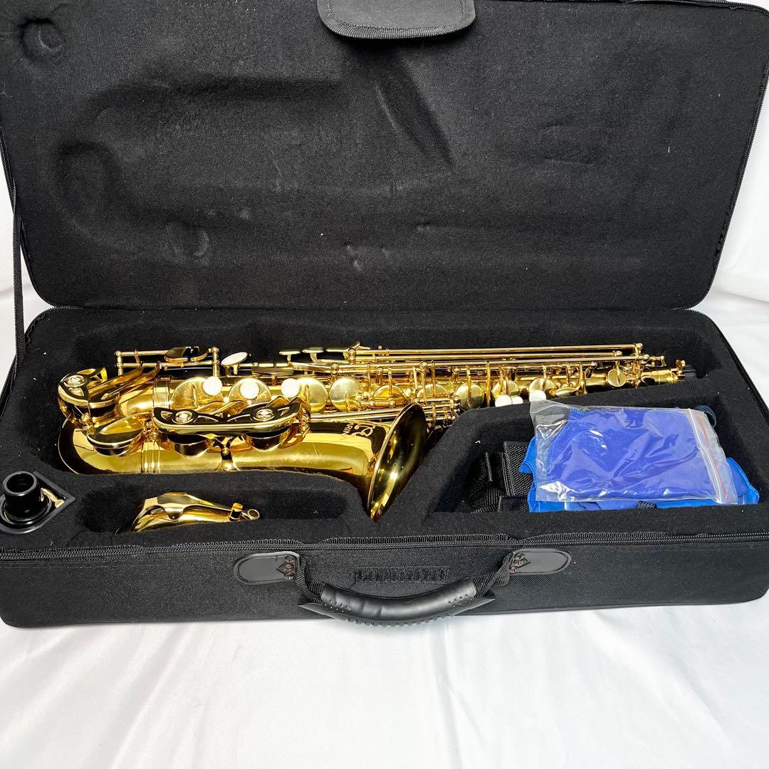 CARINA アルトサックス ケース付