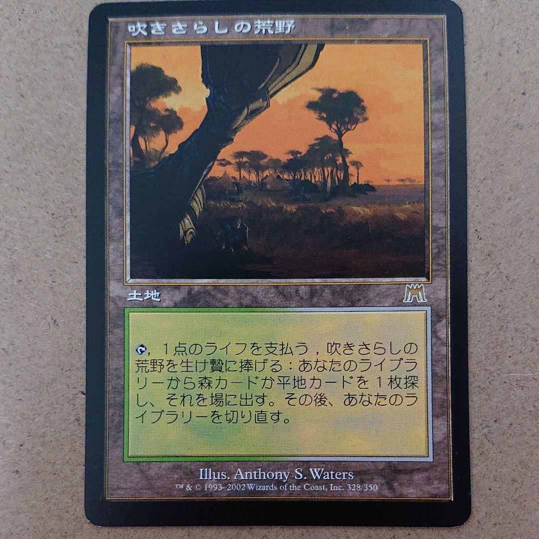 マジック：ザ・ギャザリング 吹きさらしの荒野 日本語版
