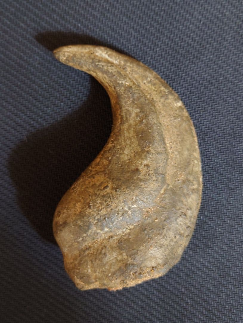 獣脚類　恐竜　ハンドクロウ　化石