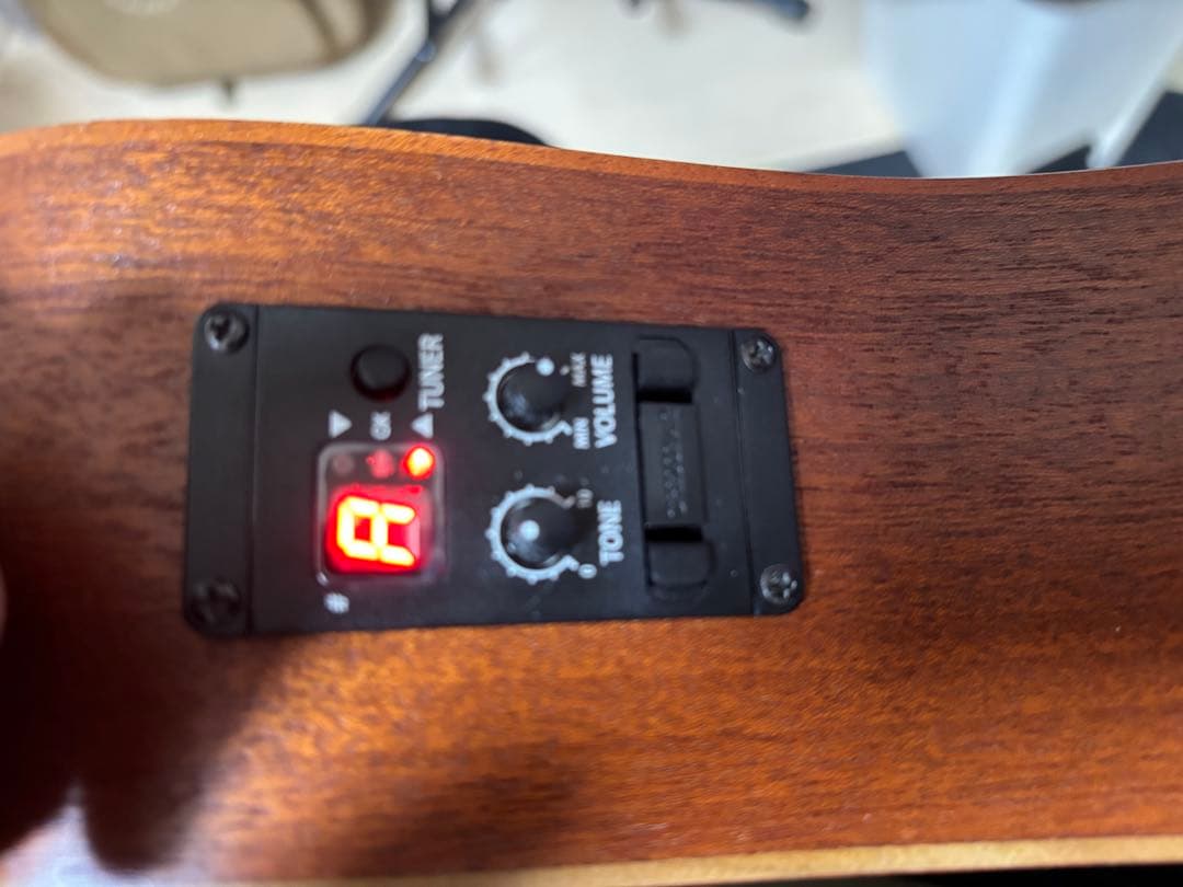 Taylor BT2E エレアコ