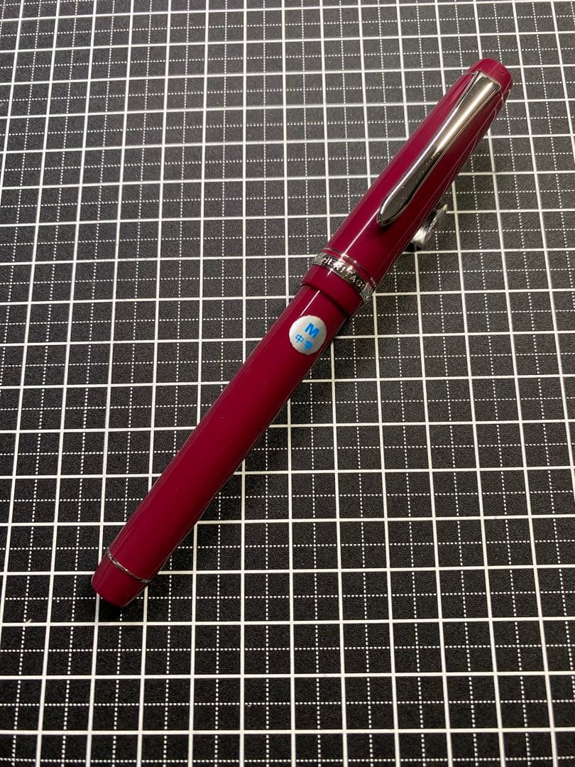 PILOT CUSTOM HERITAGE91 YAMABUDO 万年筆　字幅M