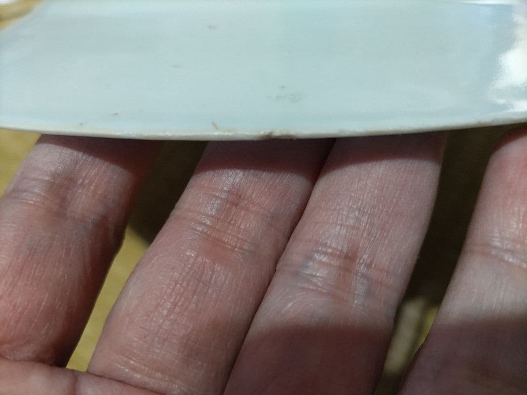 珍！　新渡　チャイニーズ　8寸皿　伊万里・古染付・デルフト写し　中国製