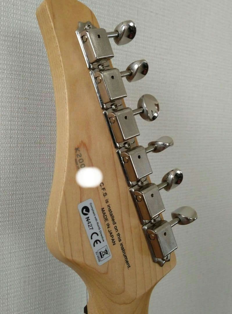 ギター FUJIGEN Boundary Iliad BIL2-G-HH BLACK