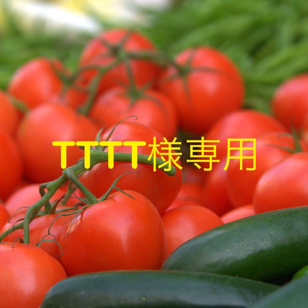 BANDAI MASTERLISE 孫悟飯 フィギュア