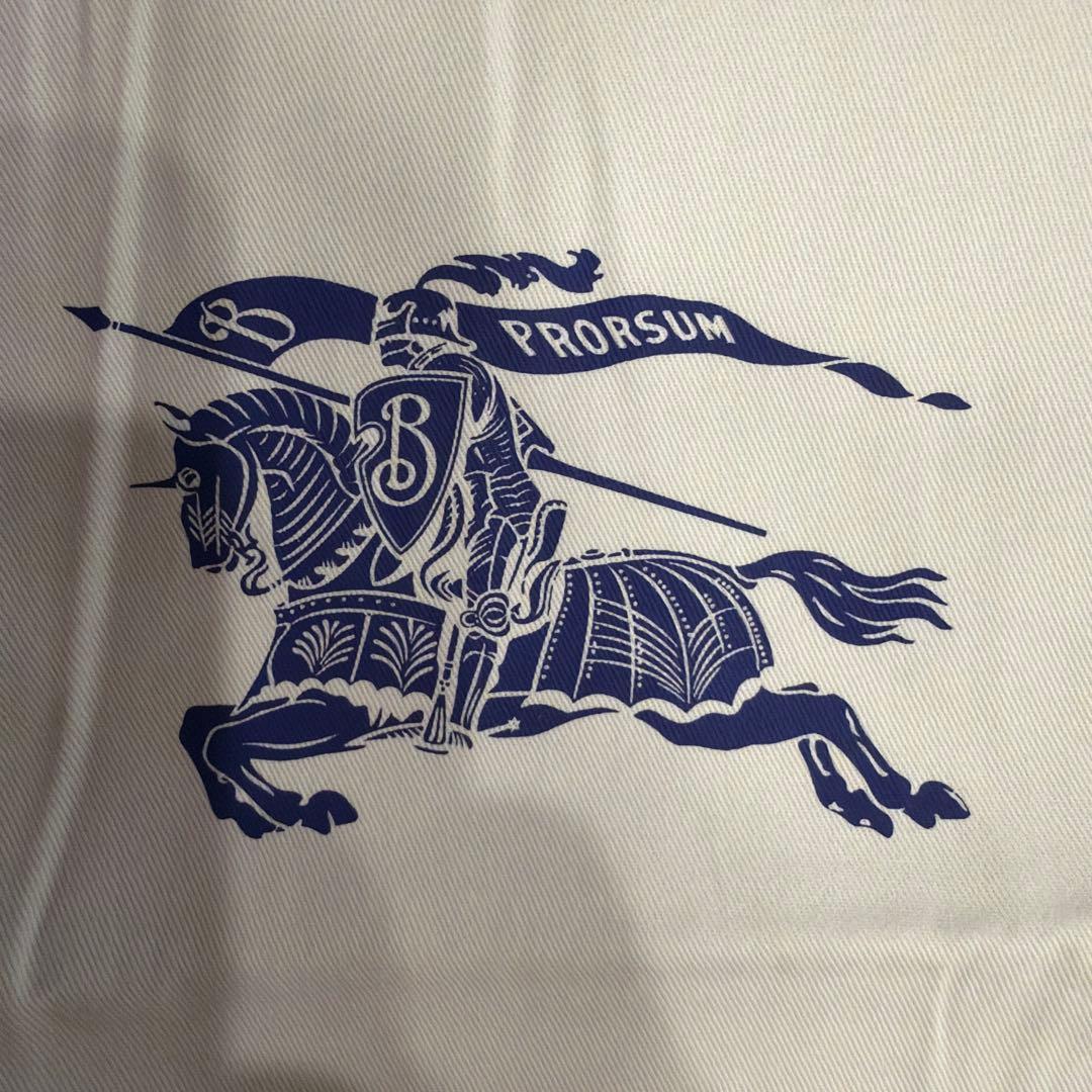 Burberry ガーメントケース　ショップ袋　大　リボン付き　美品