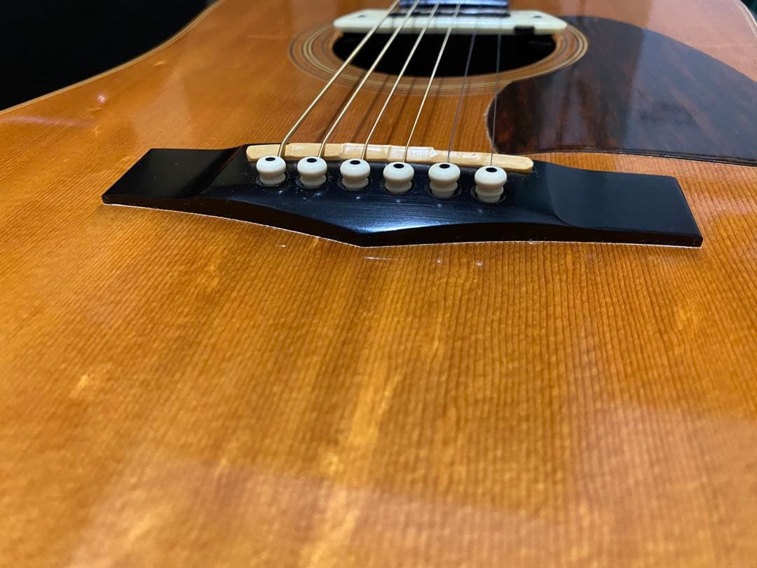 アコースティックギター　ibanez