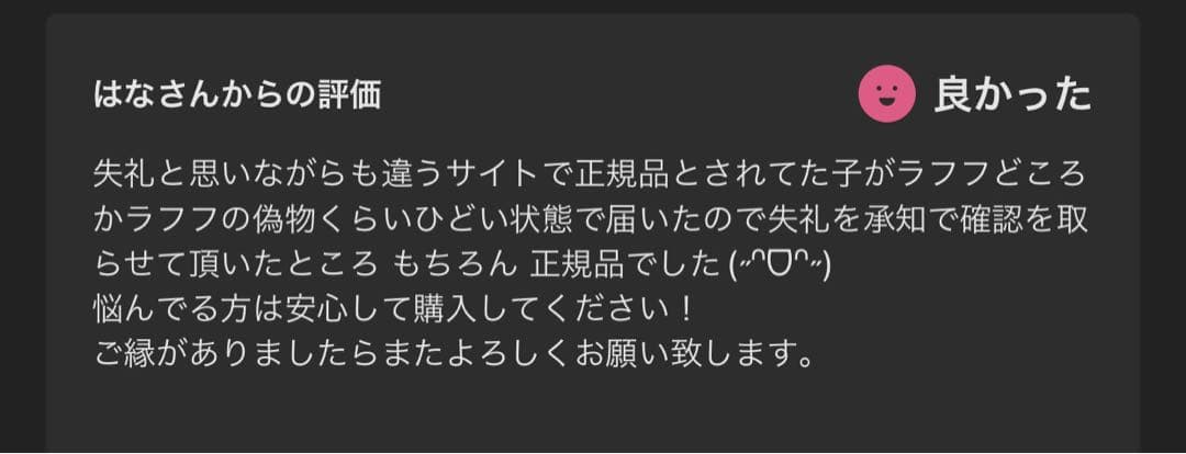 正規品・中袋未開封　Labubu Big into Energy 2箱