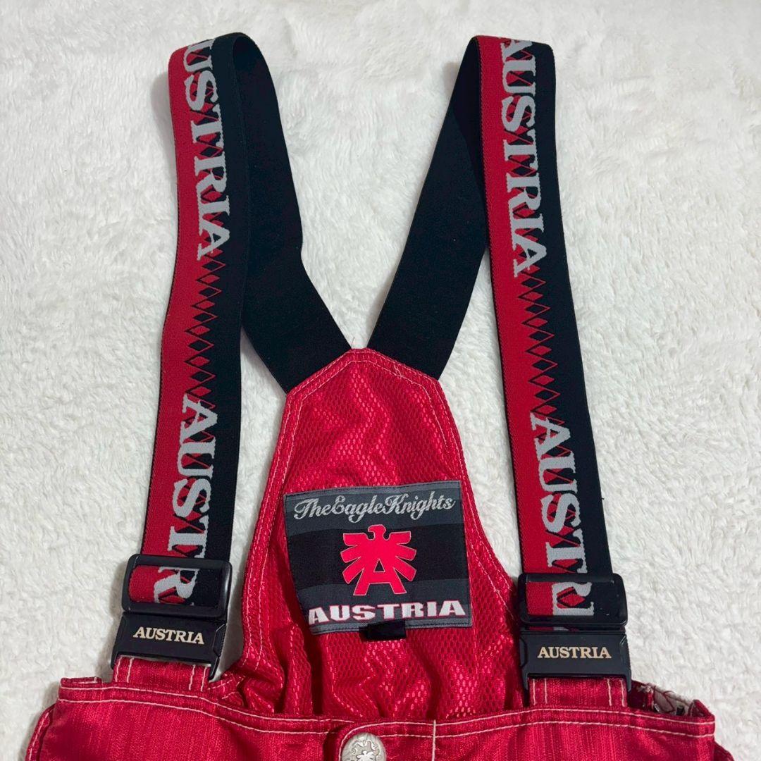 こいたろう　アシックス オーストリアモデル スキーウェア 上下 メンズ