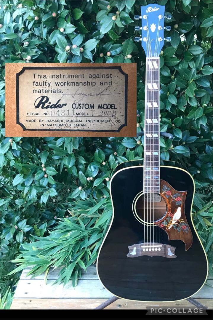 ギター Rider J-300D DOVE model