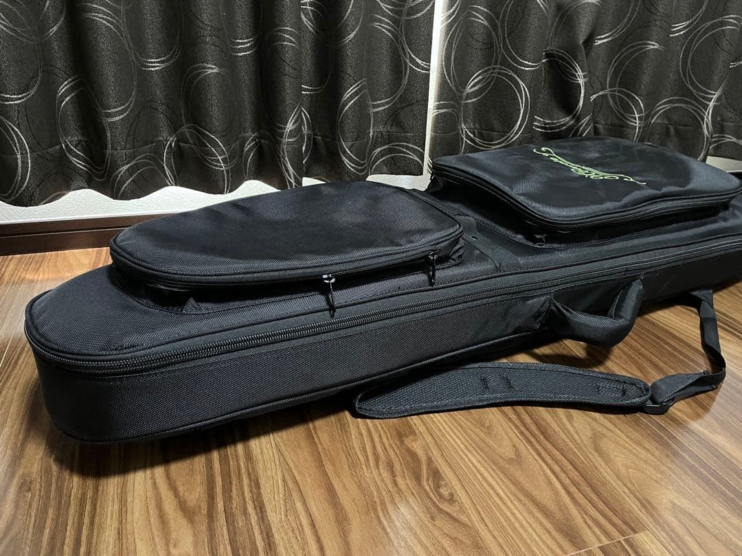 momose テレキャスター MT2-STD/M NA