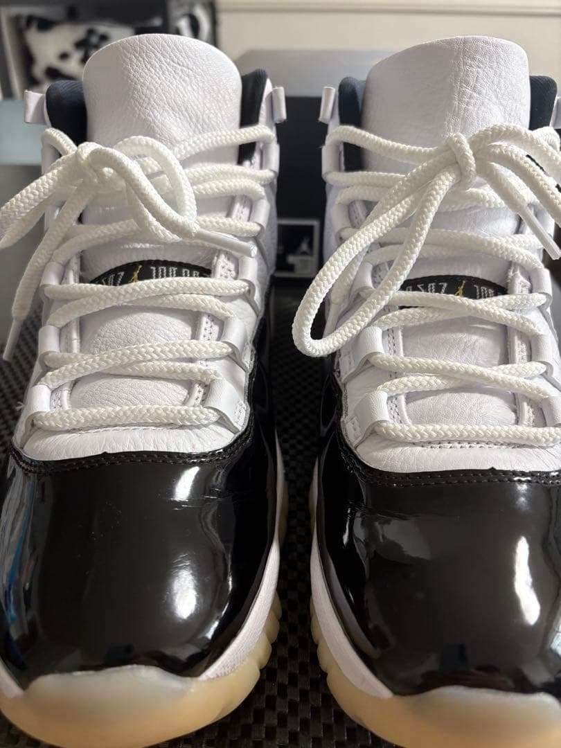 ジョーダン11コンコルド　28㎝