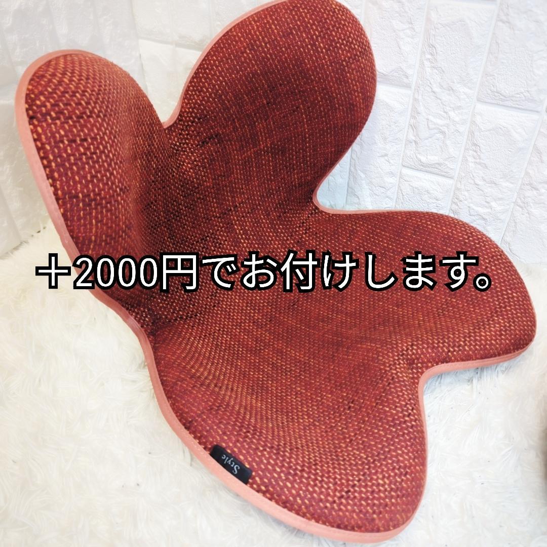 【2つセット】MTG Style スタイル スタンダード 骨盤姿勢矯正 生地なし